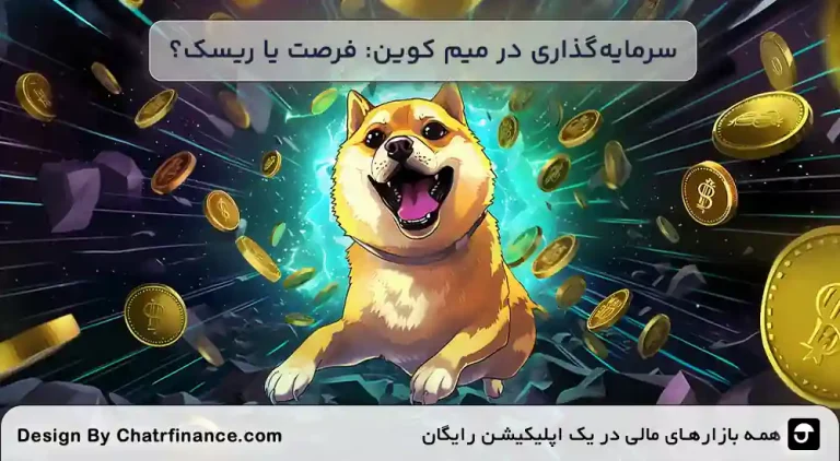 سرمایه_گذاری-در-میم-کوین--فرصت-یا-ریسک؟-